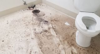 Ataşehir İnönü Klozet Tesisatçı Montaj Değişim Tamir Yenileme Ustası